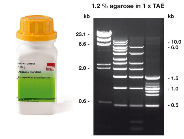 3810-Bande-ai-kombi-1000Wx1000H اكاروز Agarose