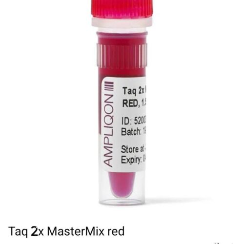 Taq DNA Polymerase Master Mix RED
