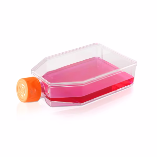 فلاسك  زراعة الأنسجة cell culture flask