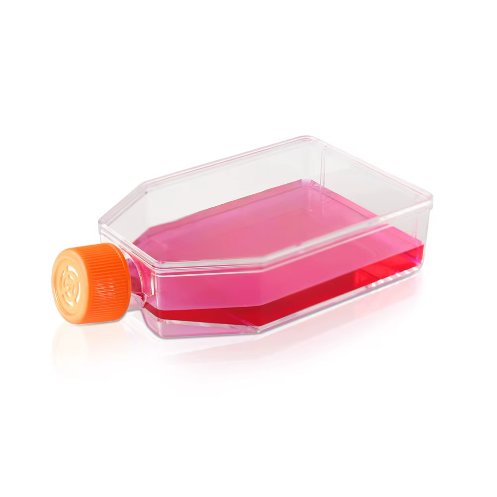 فلاسك  زراعة الأنسجة cell culture flask