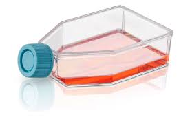 فلاسك  زراعة الأنسجة cell culture flask
